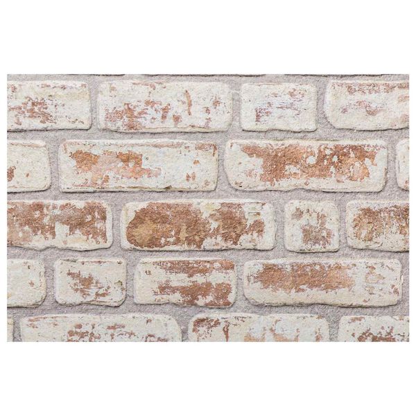 vidaXL Wandpaneele 10 pcs Rot und Wei&szlig; 100 x 50 cm EPS-Schaum