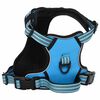 vidaXL Hundegeschirr mit Leine & Halsband Verstellbar Blau M