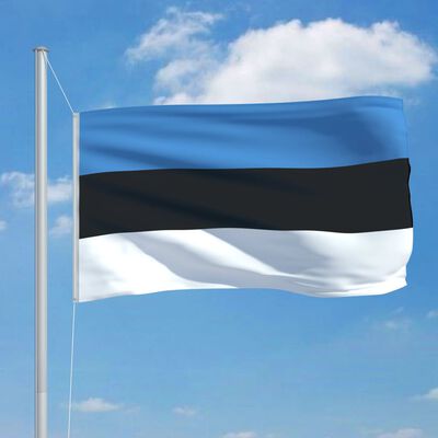 vidaXL Flagge Estlands und Mast Aluminium 6,2 m