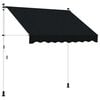 vidaXL Manuell einziehbare Markise Schwarz 100 cm