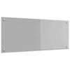 vidaXL K&uuml;chenr&uuml;ckwand Hellgrau 100 x 40 cm Geh&auml;rtetes Glas