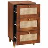 vidaXL Sideboard Braun 40 x 33.5 x 75 cm Rohr und massives Mangoholz