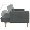 vidaXL Schlafsofa 2-Sitzer Hellgrau Stoff