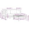 vidaXL Gartensofa mit Kissen und Hocker 2-Sitzer