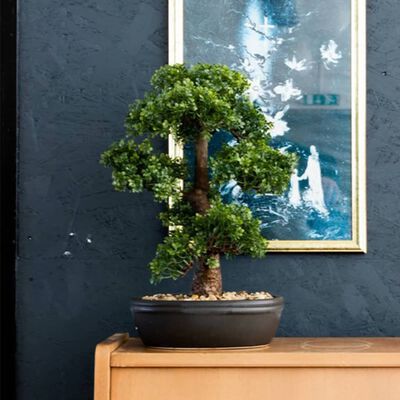 Emerald Künstliches Mini-Bonsai Ficus in Brauner Schale 43 cm
