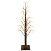 Brown_warm_white