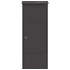 vidaXL Paketdrop-Box mit Speicher Schwarz 44,5 x 29 x 110,5 cm Stahl