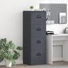 vidaXL Aktenschrank Anthrazit 45,5 x 42 x 139 cm Kaltgewalzter Stahl
