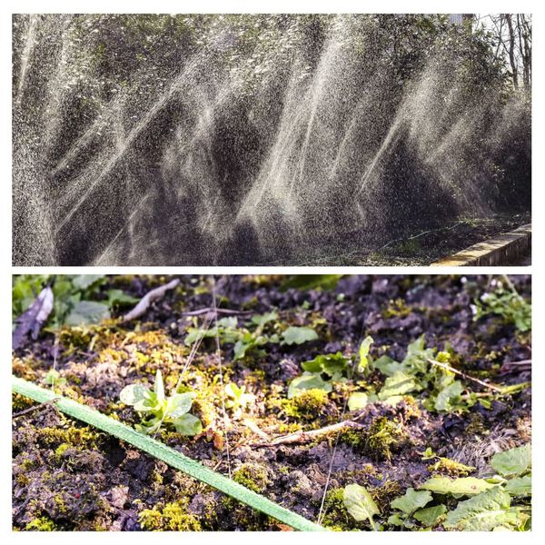 GR&Uuml;NTEK Schlauch-Regner 7,5 m Gr&uuml;n