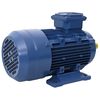 vidaXL 3-Phasen-Elektromotor Aluminium 2,2 kW 3 PS 2-Polig 2840 U/min