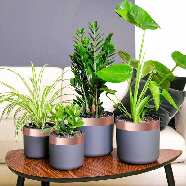 vidaXL Kupferband Kupfer 2000 x 5 cm Kupfer