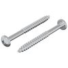 vidaXL Holzschraube 2 pcs Silber 9,8 x 53 mm Stahl