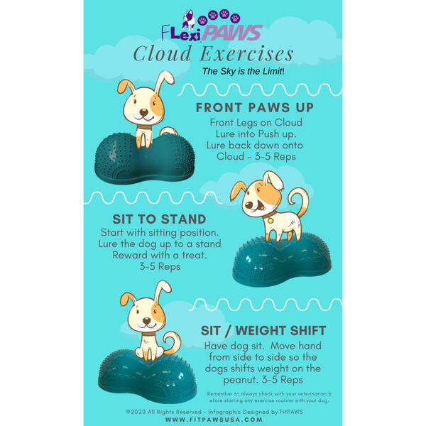 FitPAWS Gleichgewichtstrainer FlexiPAWS Cloud 70x40x32 cm T&uuml;rkis