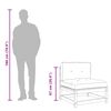 vidaXL Gartensofas ohne Armlehnen mit Kissen 2 Stk. Massivholz Kiefer