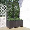 vidaXL Garten-Pflanzgef&auml;&szlig; mit Spalier Schwarz 80 x 40 x 136 cm PP
