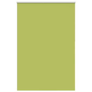 vidaXL Verdunkelungsrollo Gr&uuml;n 165x210cm Stoffbreite 161,6cm Polyester