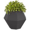 Produkt-Miniaturbild 3 von 11