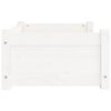 vidaXL Hundebett Weiß 65,5 x 50,5 x 28 cm Massivholz Kiefer