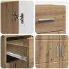 vidaXL Holzschrank Artisan-Eiche 88,5 x 30,5 x 73 cm Holzwerkstoff