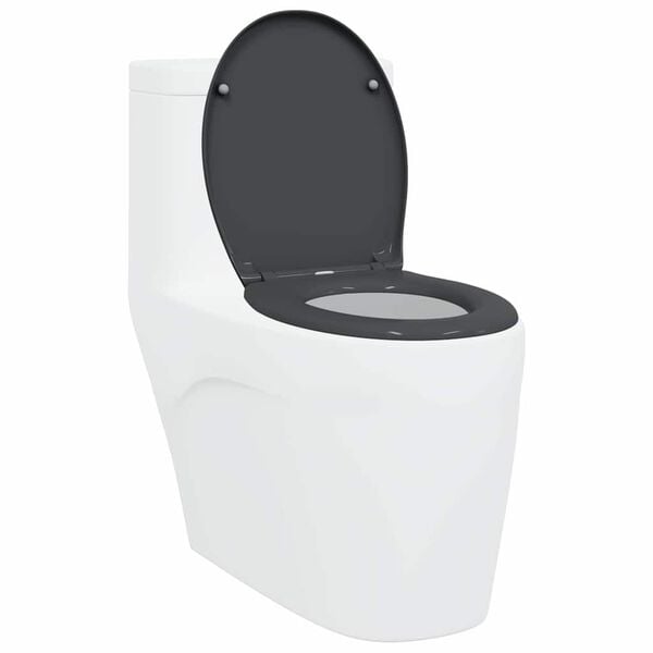 vidaXL Schnellverschluss-WC-Sitz Anthrazit 44,8 x 37,3 x 4,2 cm