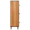 vidaXL Highboard mit Speicher Natur 40 x 33 x 110 cm Massivholz Mango