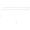 vidaXL Automatische Markise mit LED & Windsensor 600x300 cm Anthrazit