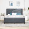 vidaXL Boxspringbett mit Matratze mit LED Dunkelgrau 180 x 200 cm Samt