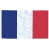 vidaXL Flagge Frankreichs mit Mast 5,55 m Aluminium