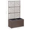 vidaXL Hochbeet mit Rankgitter 2 Töpfe 58×30×107cm Poly Rattan Braun