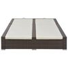 vidaXL Doppel-Sonnenliege Poly Rattan Braun
