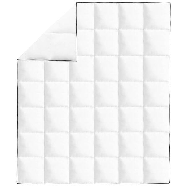 vidaXL Winter-Daunendecke 200x220 cm