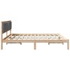 vidaXL Bettrahmen Dunkelgrau 200 x 200 cm Massives Kiefernholz