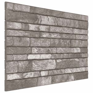 vidaXL Wandpaneele 10 stk. 100 x 50 cm Dunkelgrau EPS-Schaum