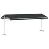 vidaXL Freistehende Markise 6 x 3 m Polyester Anthrazit