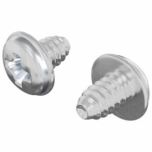 vidaXL Schloss-Schrauben 2 stk. Silber M4 x 5 mm Eisen