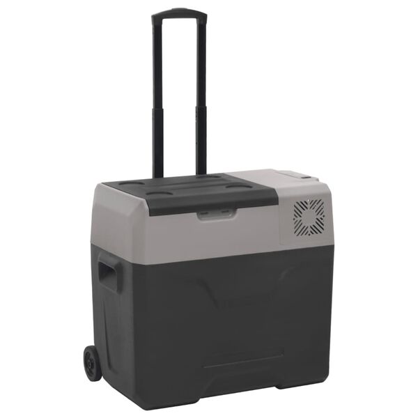 vidaXL Kühlbox mit Rollen und Adapter Schwarz & Grau 40 L Polypropylen
