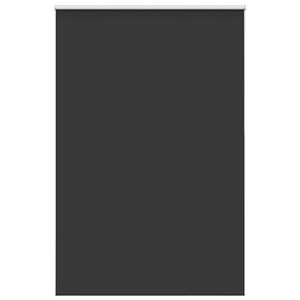 vidaXL Verdunkelungsrollo Schwarz 165x210 cm Stoffbreite 161,6 cm