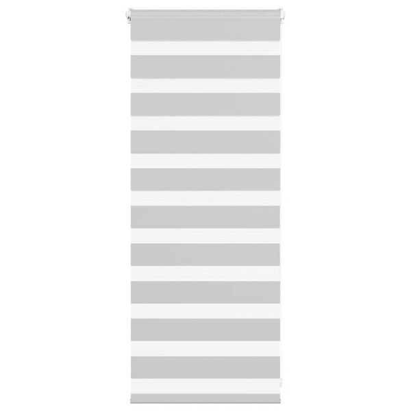 vidaXL Doppelrollo Hellgrau 60x100 cm Stoffbreite 55,9 cm Polyester