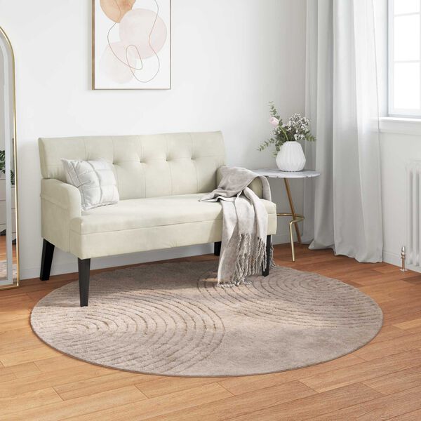 vidaXL Bereichsteppiche Rund Beige &Oslash; 120 CM