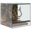 vidaXL Terrarium mit Speicher Transparent 30 x 30 x 30 cm Glas