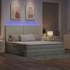 vidaXL Bett mit Stauraum und LED mit LED Hellgrau 160 x 200 cm Samt