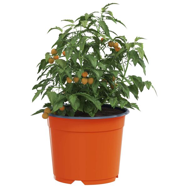 Produktbild 3 von 11 anzeigen