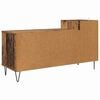 vidaXL TV-Schr&auml;nk Altholz 100 x 35 x 55 cm Holzwerkstoff