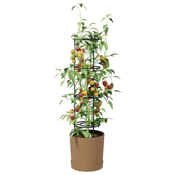 Produktbild 3 von 6 anzeigen