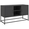 vidaXL TV-Schrank Schwarz 100,5x39x60,5 cm Stahl