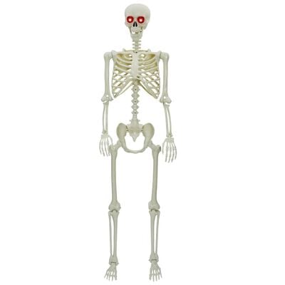 Halloween-Skelett, Weiß, 155 x 38,5 cm