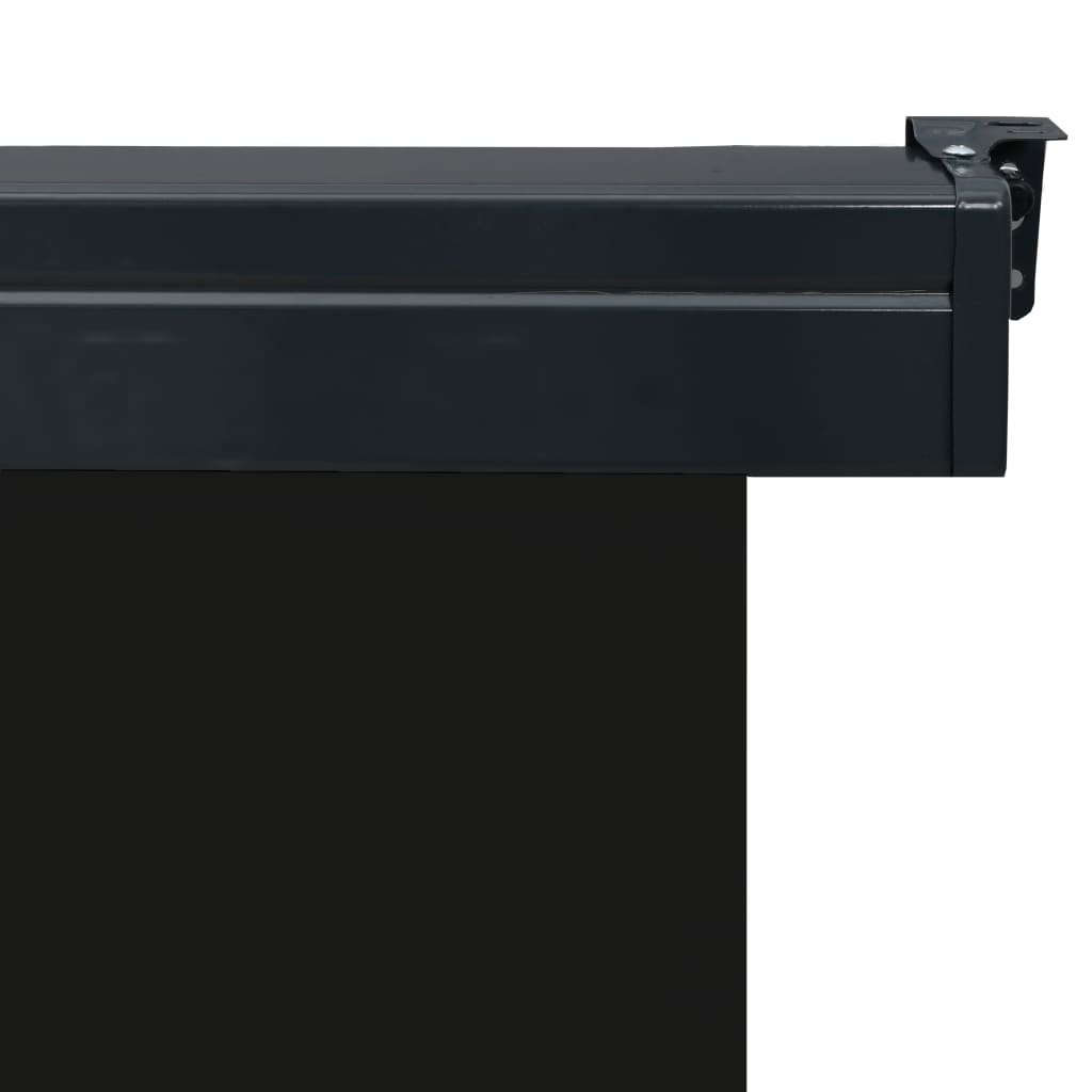 vidaXL Balkon-Seitenmarkise 65x250 cm Schwarz