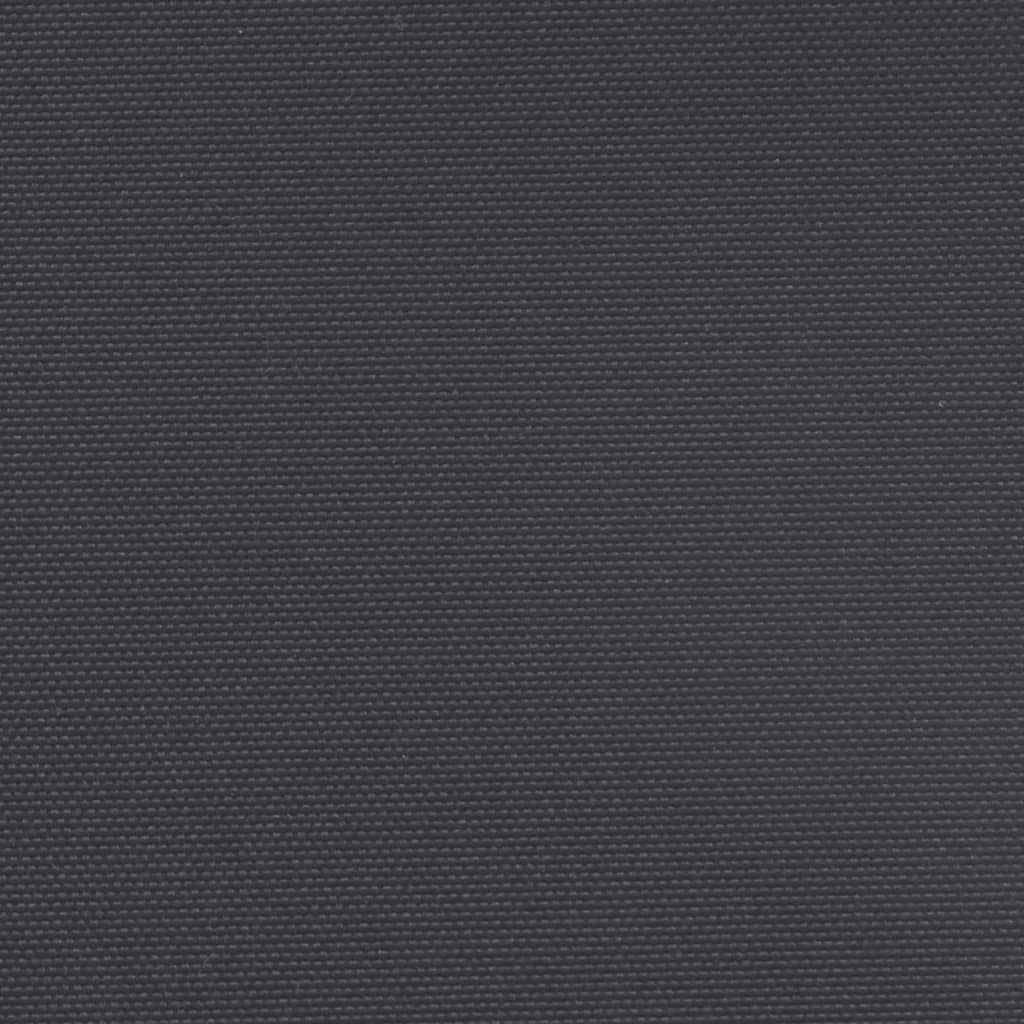 vidaXL Seitenmarkise Ausziehbar Schwarz 180x600 cm