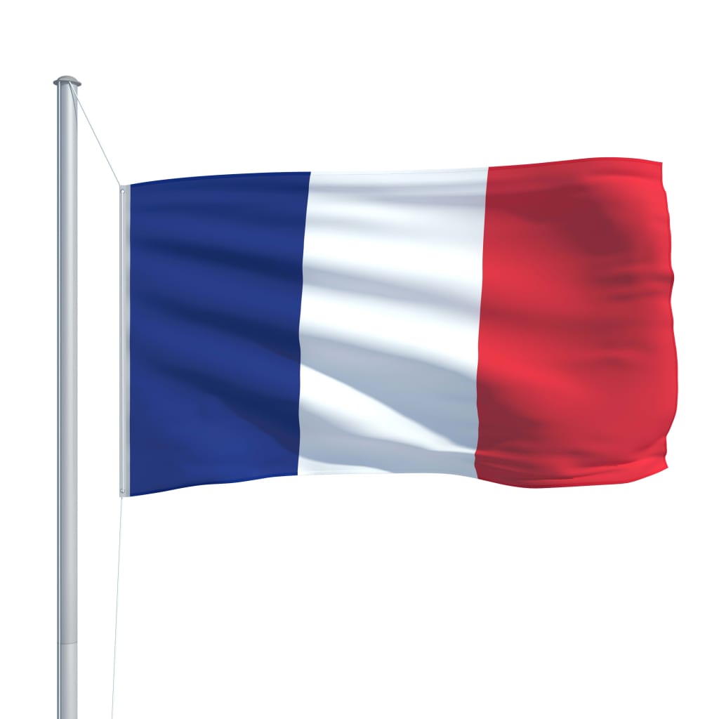 vidaXL Flagge Frankreichs und Mast Aluminium 6,2 m