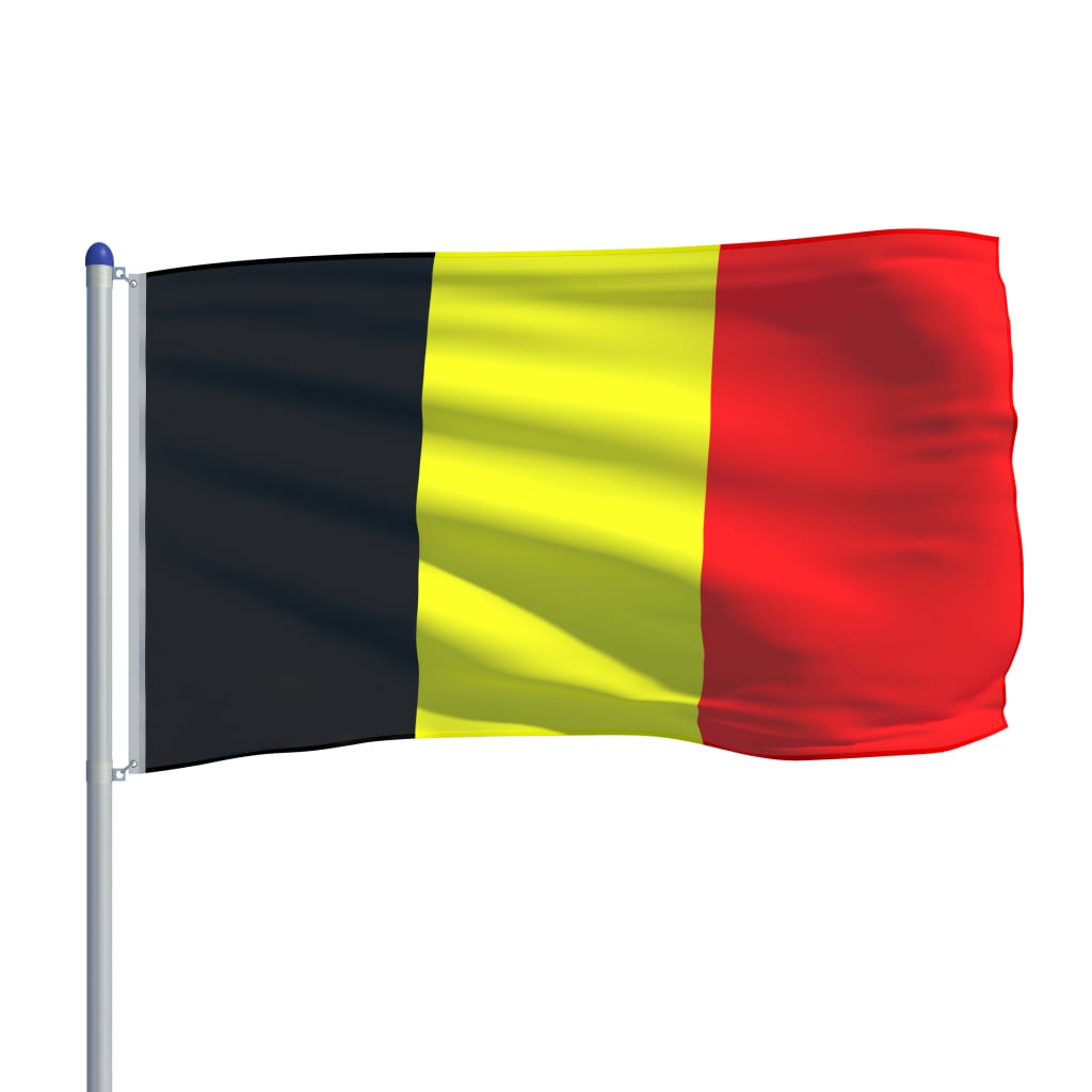 vidaXL Flagge Belgiens und Mast Aluminium 6 m